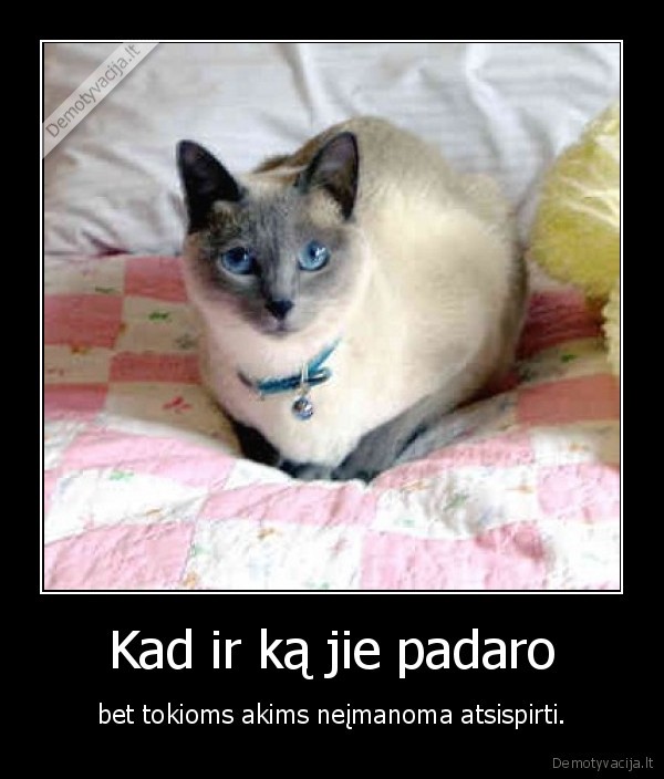 Kad ir ką jie padaro - bet tokioms akims neįmanoma atsispirti.