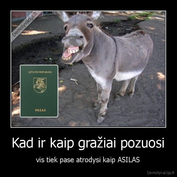 Kad ir kaip gražiai pozuosi - vis tiek pase atrodysi kaip ASILAS