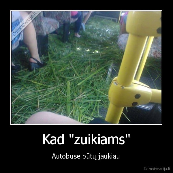 Kad "zuikiams" - Autobuse būtų jaukiau