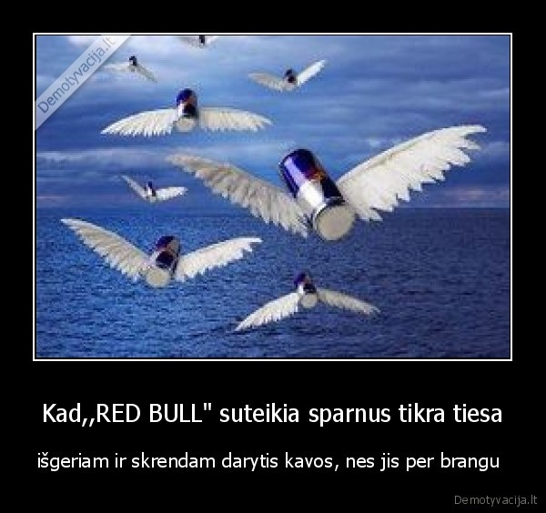 Kad,,RED BULL" suteikia sparnus tikra tiesa - išgeriam ir skrendam darytis kavos, nes jis per brangu 