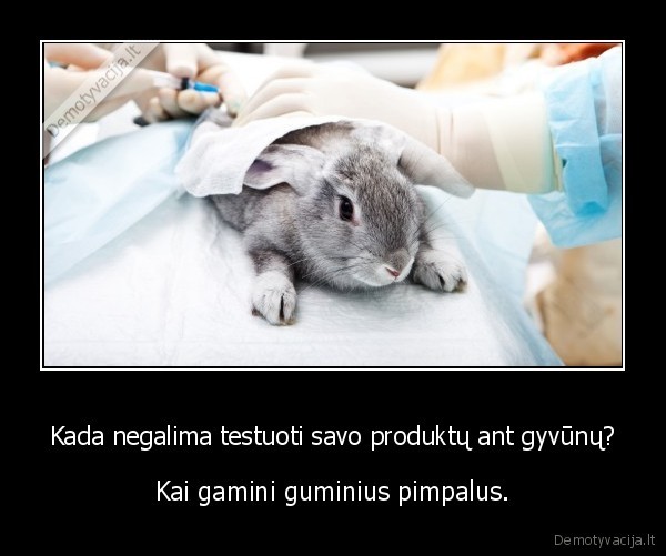 Kada negalima testuoti savo produktų ant gyvūnų? - Kai gamini guminius pimpalus.