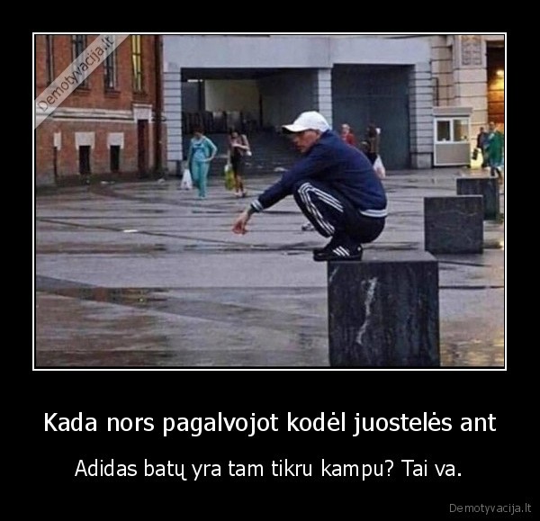 Kada nors pagalvojot kodėl juostelės ant - Adidas batų yra tam tikru kampu? Tai va.