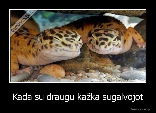 Kada su draugu kažka sugalvojot - 