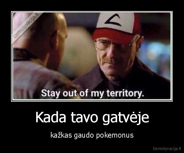 Kada tavo gatvėje - kažkas gaudo pokemonus