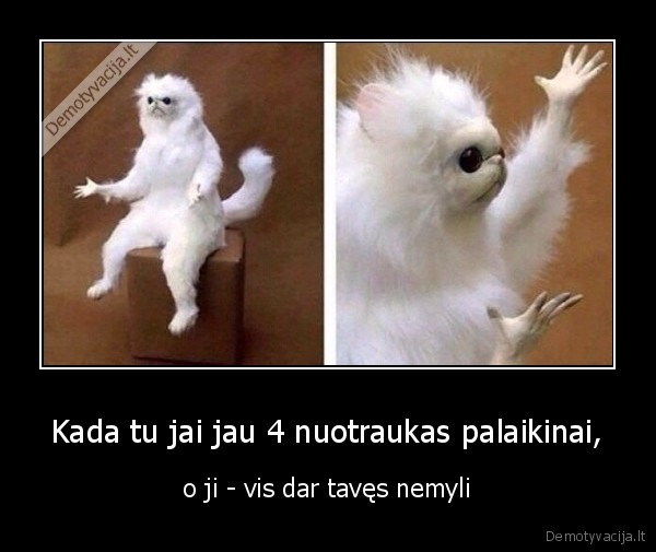 Kada tu jai jau 4 nuotraukas palaikinai, - o ji - vis dar tavęs nemyli