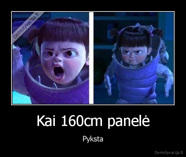 Kai 160cm panelė - Pyksta