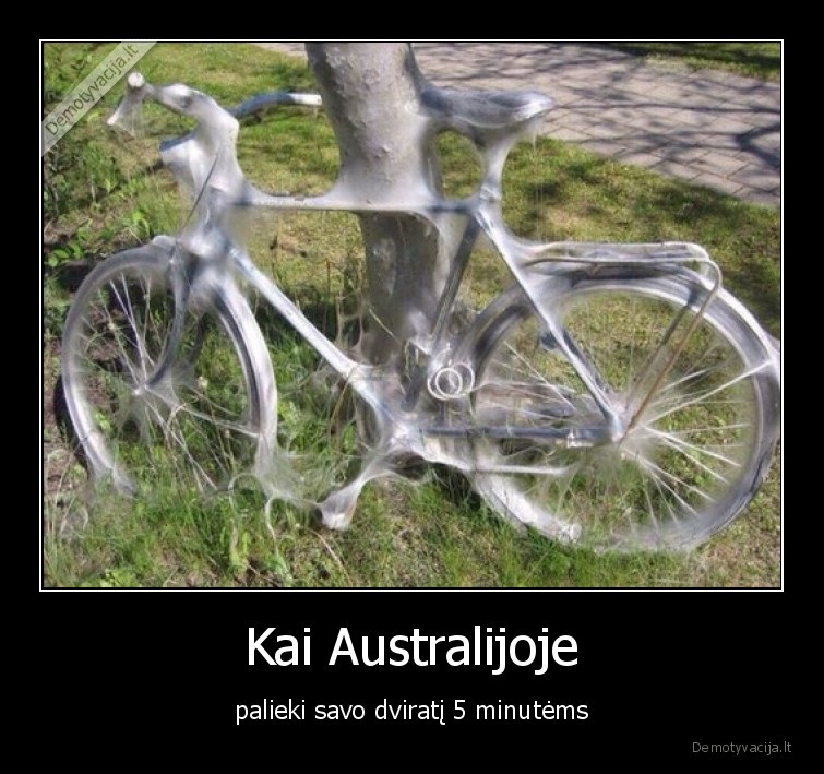 Kai Australijoje - palieki savo dviratį 5 minutėms