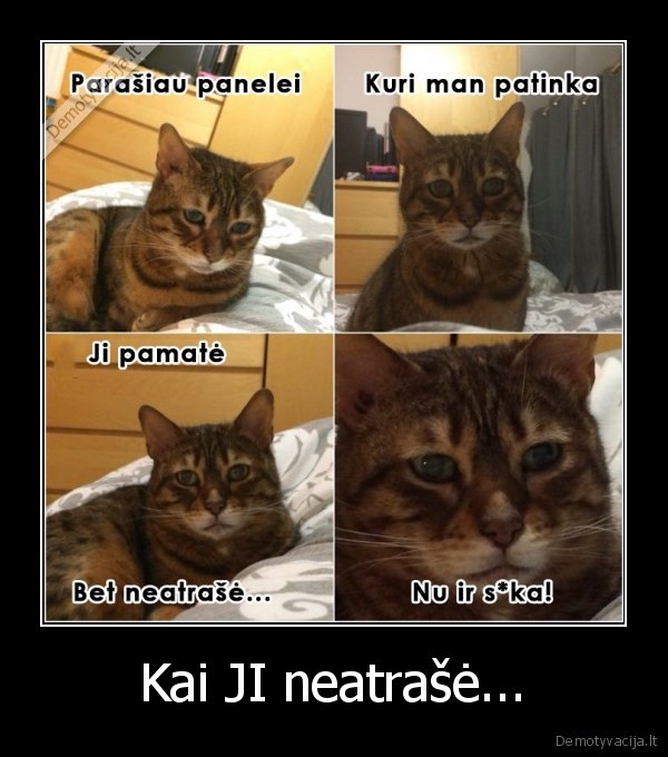 Kai JI neatrašė... - 