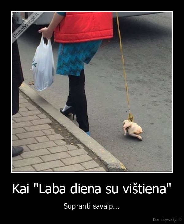 Kai "Laba diena su vištiena" - Supranti savaip...