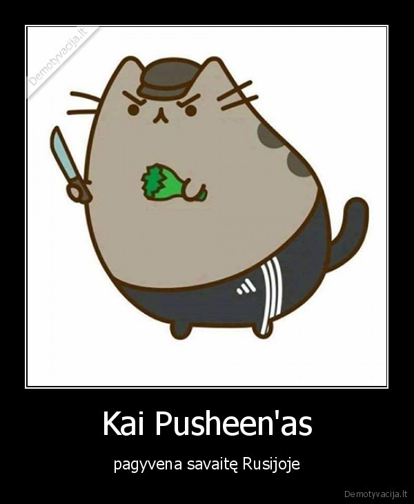 Kai Pusheen'as - pagyvena savaitę Rusijoje