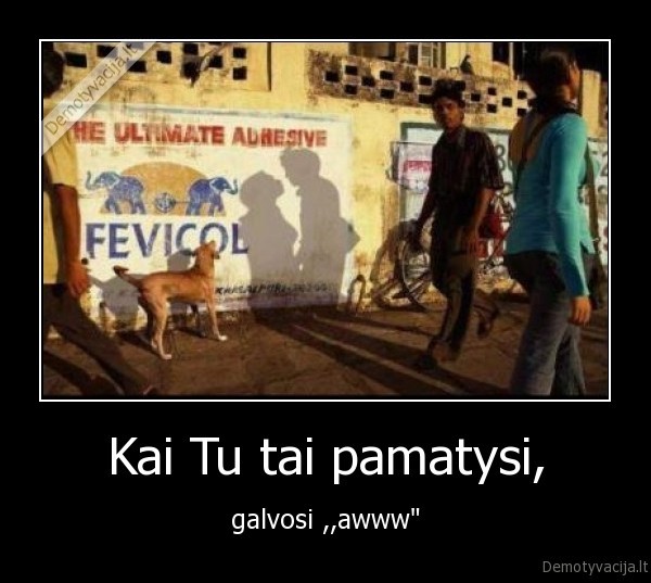 Kai Tu tai pamatysi, - galvosi ,,awww"