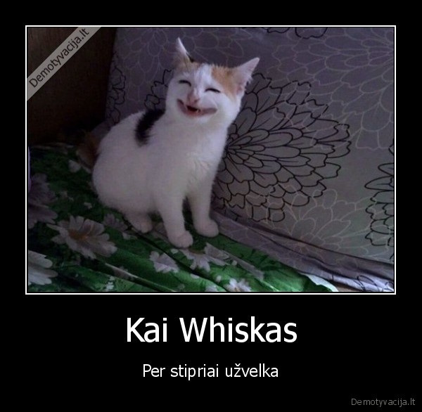 Kai Whiskas - Per stipriai užvelka