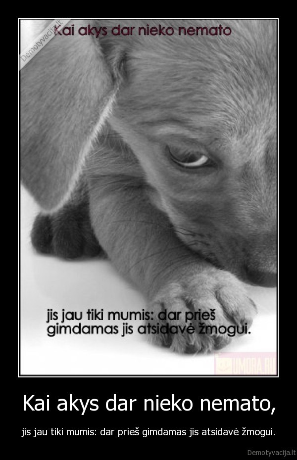 Kai akys dar nieko nemato, - jis jau tiki mumis: dar prieš gimdamas jis atsidavė žmogui.