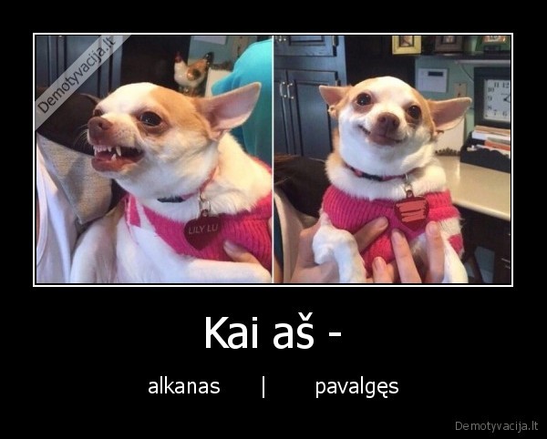 Kai aš - - alkanas      |       pavalgęs