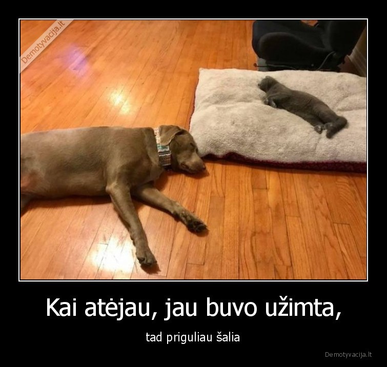 Kai atėjau, jau buvo užimta, - tad priguliau šalia