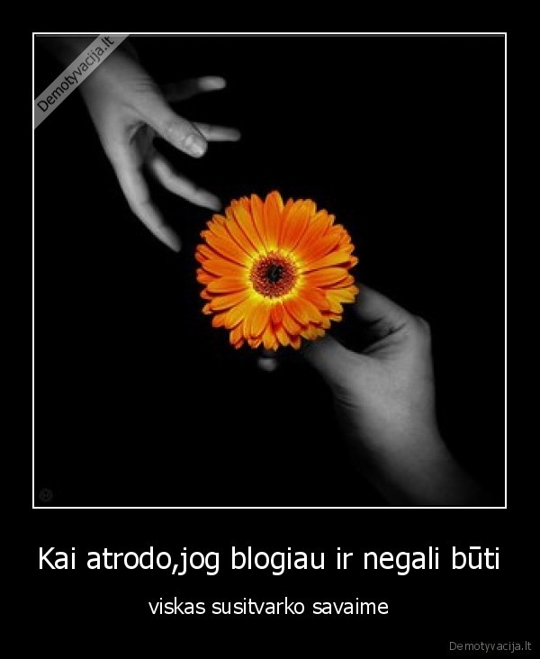 Kai atrodo,jog blogiau ir negali būti - viskas susitvarko savaime