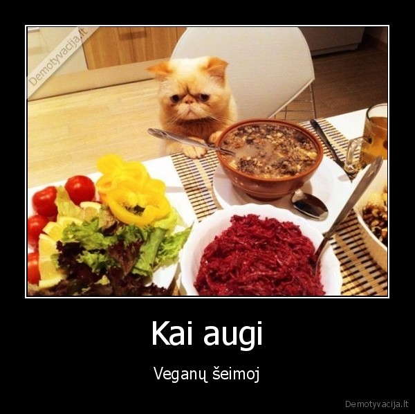 Kai augi - Veganų šeimoj