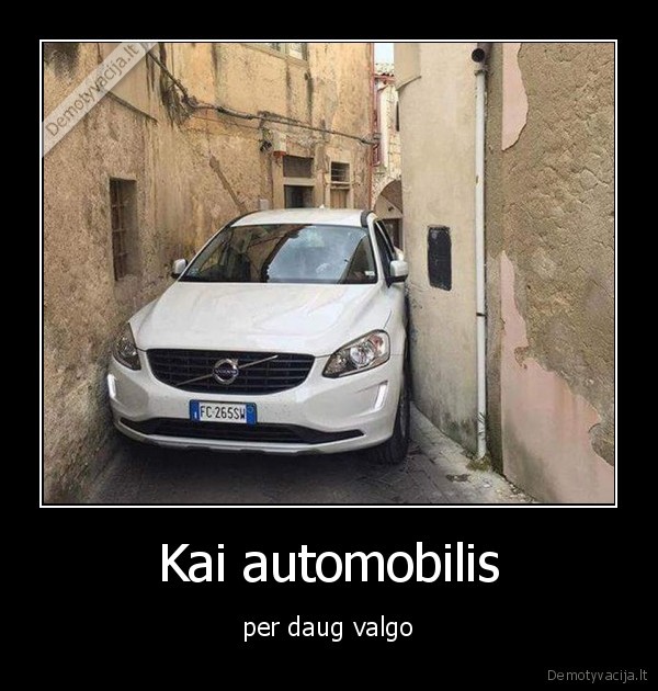 Kai automobilis - per daug valgo