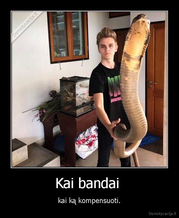 Kai bandai  - kai ką kompensuoti.