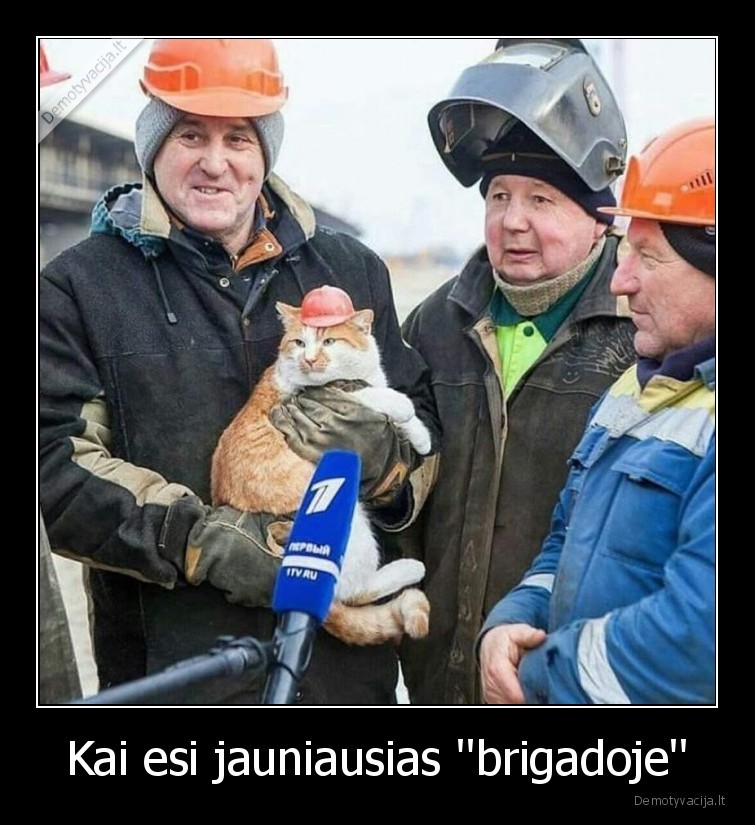 Kai esi jauniausias ''brigadoje'' - 