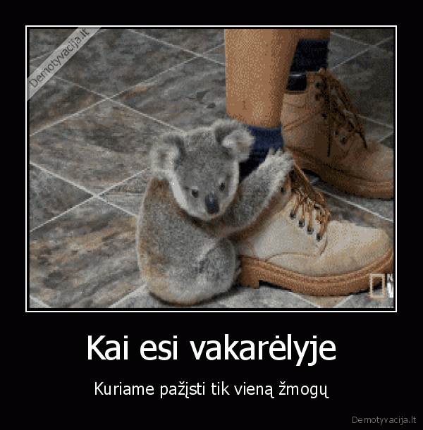 Kai esi vakarėlyje - Kuriame pažįsti tik vieną žmogų