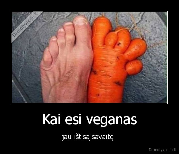 Kai esi veganas - jau ištisą savaitę 