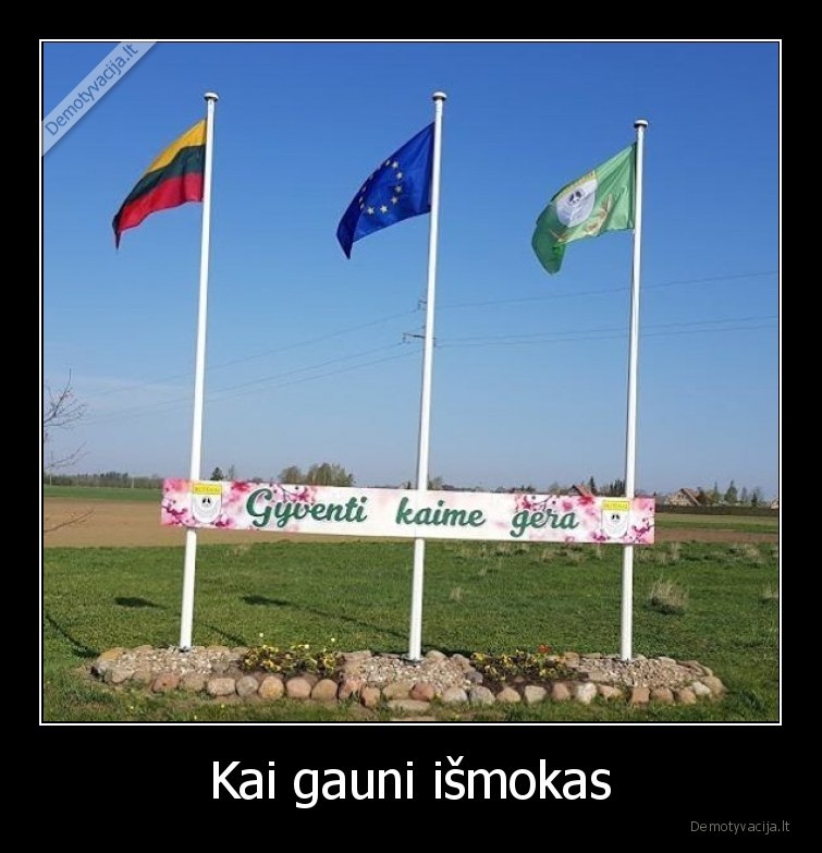 Kai gauni išmokas - 