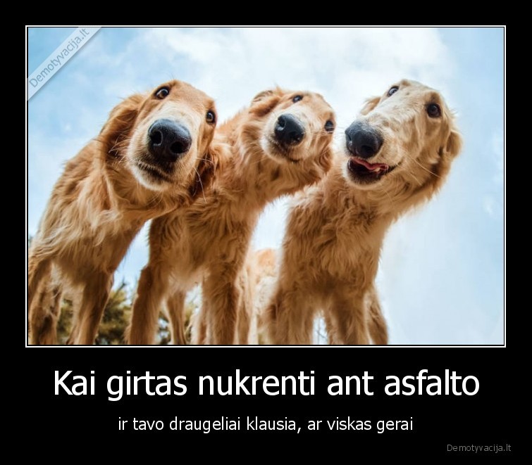 Kai girtas nukrenti ant asfalto - ir tavo draugeliai klausia, ar viskas gerai