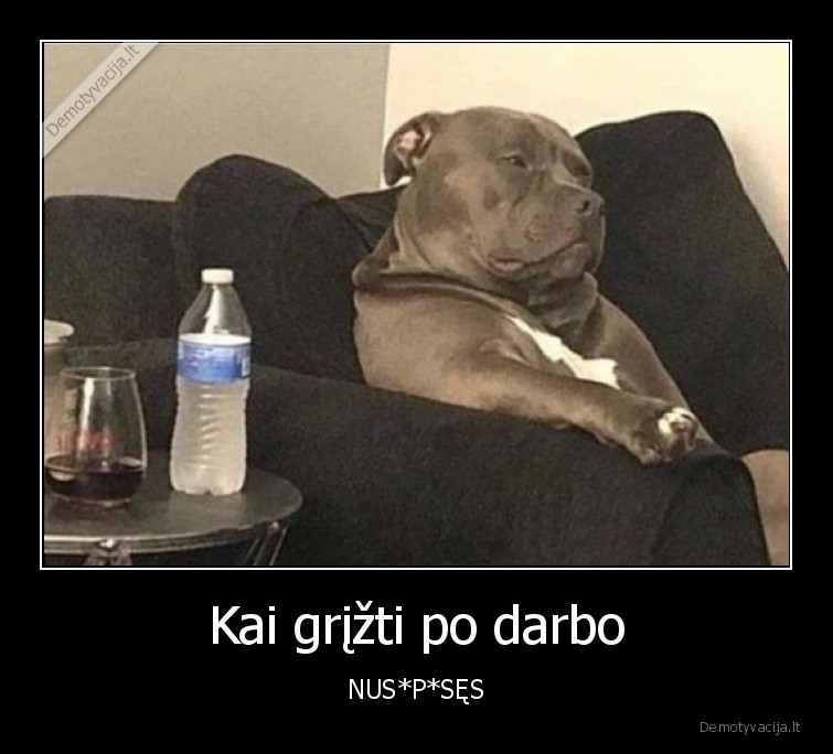 Kai grįžti po darbo - NUS*P*SĘS