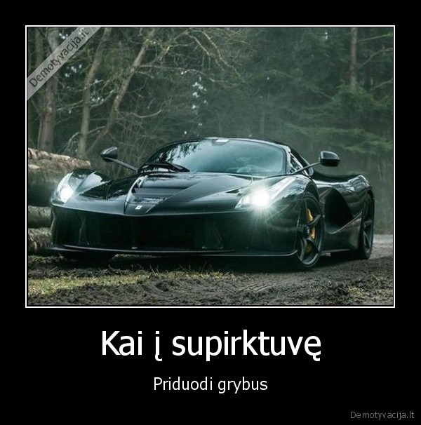 Kai į supirktuvę - Priduodi grybus