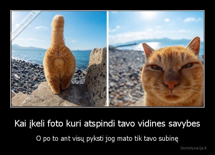 Kai įkeli foto kuri atspindi tavo vidines savybes - O po to ant visų pyksti jog mato tik tavo subinę