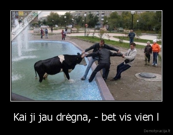 Kai ji jau drėgna, - bet vis vien l - 