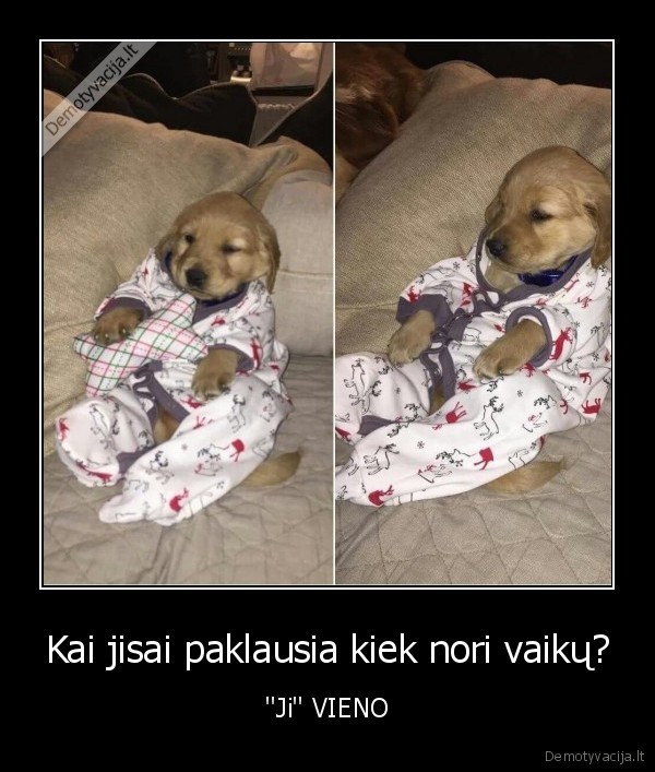 Kai jisai paklausia kiek nori vaikų? - ''Ji'' VIENO