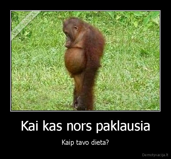 Kai kas nors paklausia - Kaip tavo dieta?