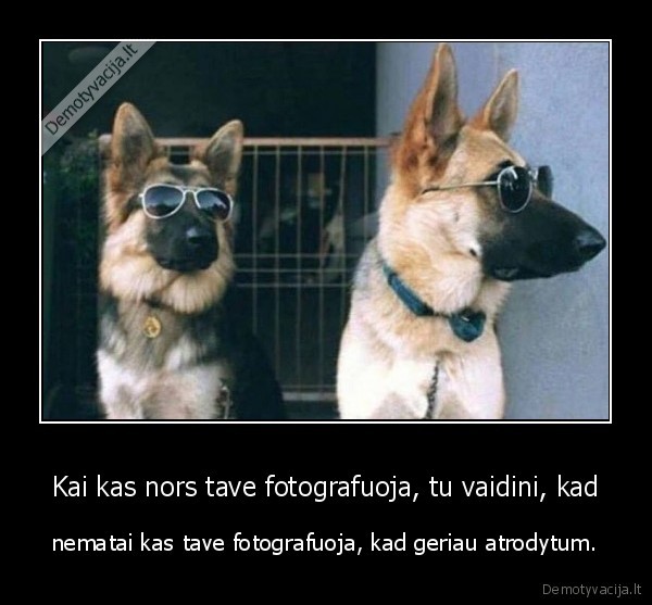 Kai kas nors tave fotografuoja, tu vaidini, kad - nematai kas tave fotografuoja, kad geriau atrodytum.