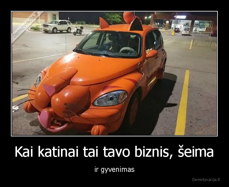 Kai katinai tai tavo biznis, šeima - ir gyvenimas