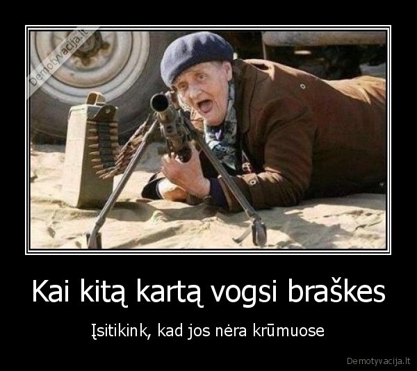 Kai kitą kartą vogsi braškes - Įsitikink, kad jos nėra krūmuose