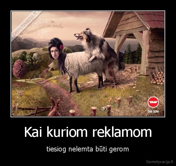 Kai kuriom reklamom - tiesiog nelemta būti gerom