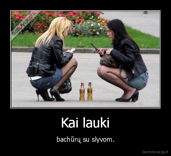 Kai lauki - bachūrų su slyvom.