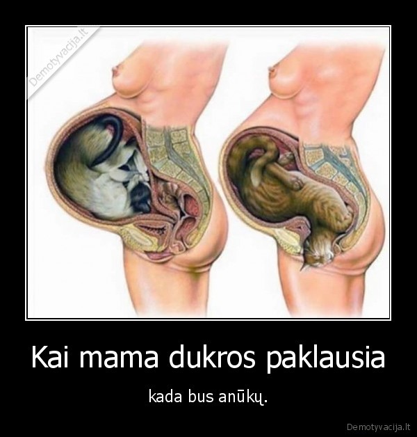 Kai mama dukros paklausia - kada bus anūkų.