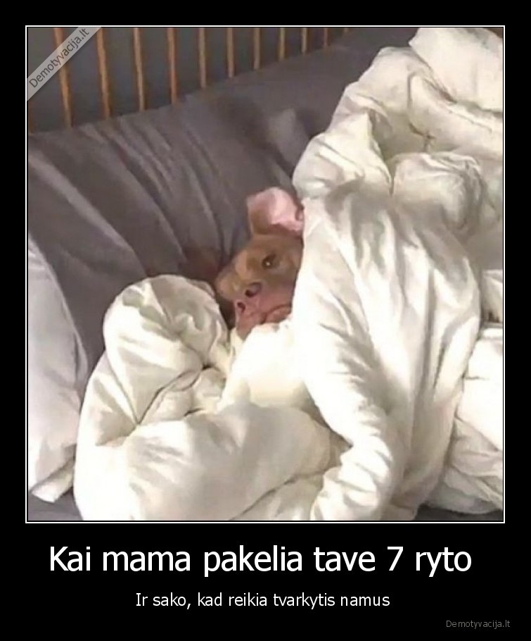 Kai mama pakelia tave 7 ryto  - Ir sako, kad reikia tvarkytis namus 