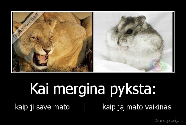 Kai mergina pyksta: - kaip ji save mato      |       kaip ją mato vaikinas