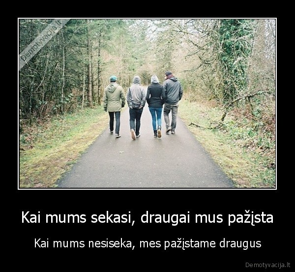 Kai mums sekasi, draugai mus pažįsta - Kai mums nesiseka, mes pažįstame draugus