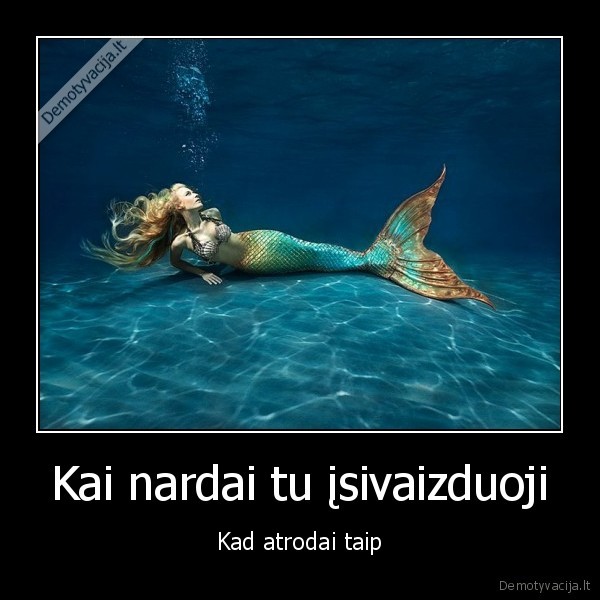 Kai nardai tu įsivaizduoji - Kad atrodai taip