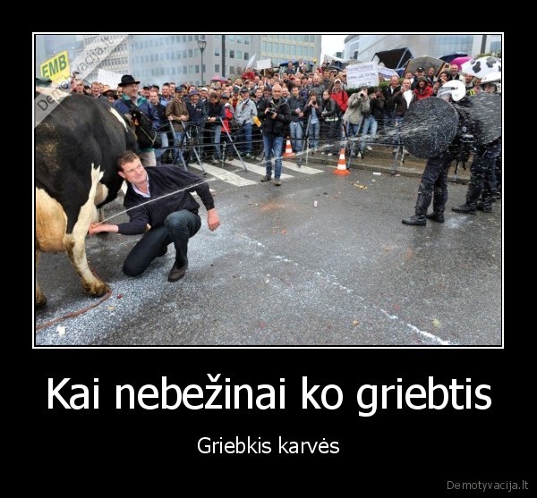 Kai nebežinai ko griebtis - Griebkis karvės