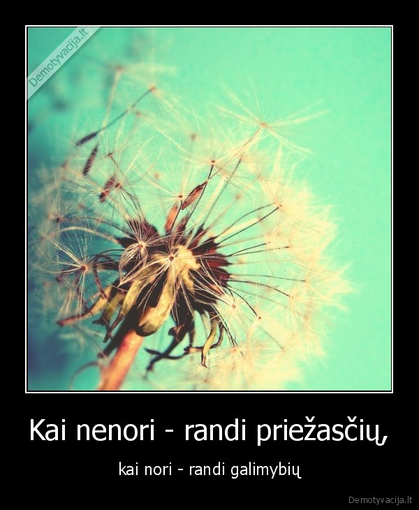 Kai nenori - randi priežasčių, - kai nori - randi galimybių