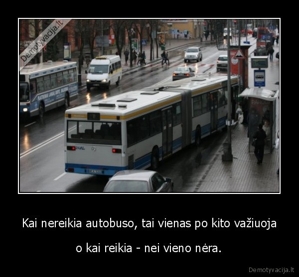 Kai nereikia autobuso, tai vienas po kito važiuoja - o kai reikia - nei vieno nėra.