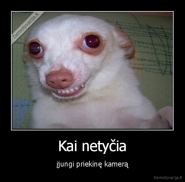 Kai netyčia - įjungi priekinę kamerą