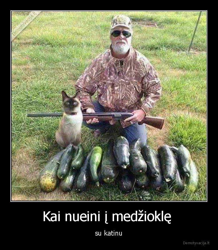 Kai nueini į medžioklę  - su katinu