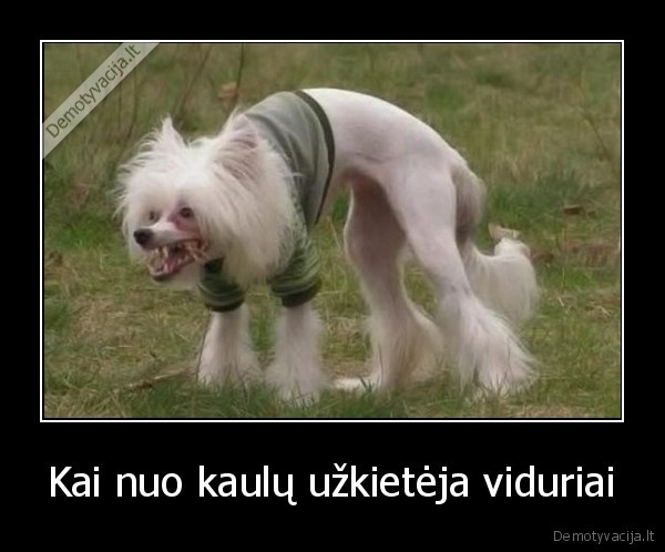 Kai nuo kaulų užkietėja viduriai - 